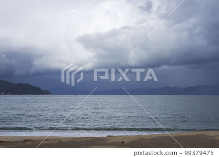 Early December: Kehi no Matsubara during rainy weather in Tsuruga City, Fukui Prefecture 99379475