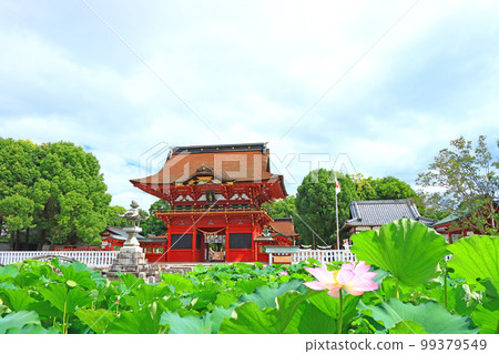 Scenery of Okazaki City, Iga Hachimangu Shrine and lotus 99379549