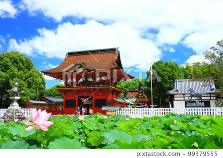 Scenery of Okazaki City, Iga Hachimangu Shrine and lotus Scenery of Okazaki City, Iga Hachimangu Shrine and lotus 99379555