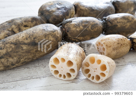 蓮藕、佐賀泥蓮藕 99379603