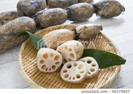 Lotus root, lotus root with mud from Saga 99379607