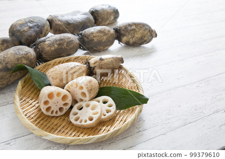 Lotus root, lotus root with mud from Saga 99379610