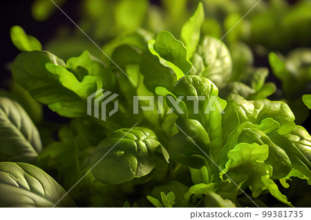 fresh green salad close-up. Generative AI 99381735