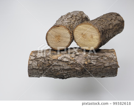 Branches of old trees 99382618