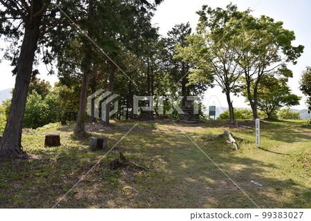 Ichinomiya Castle Honmaru 99383027