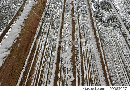 Winter scenery of Miune, one of Shikoku's 100 famous mountains in Japan's 200 famous mountains in Shikoku 99383057