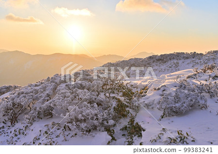 日本四國名山200名中的四國名山100名之一的三翁的冬景 99383241