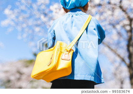 Snaps of the cherry blossom season 99383674