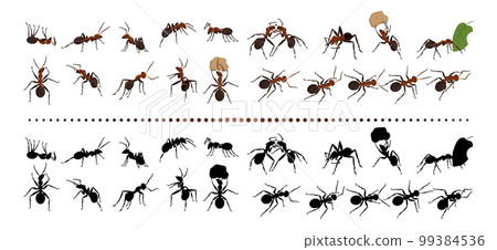 Red ants. Nature insects group. Garden termites. Bugs black silhouettes. Life species. Isolated natural small animals crawling and carrying leaves. Beetle actions set. Vector current design collection 99384536