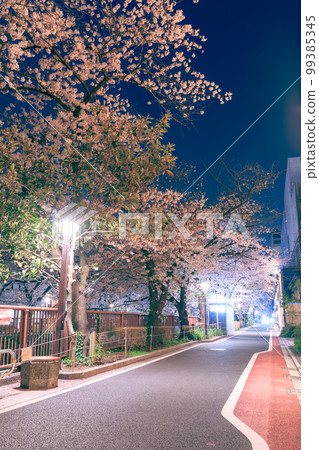 東京_目黑川之夜櫻花美景 99385345