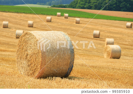 北海道_美瑛景觀與大麥草卷 99385910