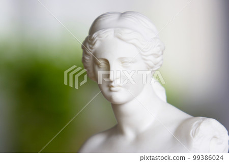 米洛維納斯的石膏半身像 米洛維納斯的石膏半身像 99386024