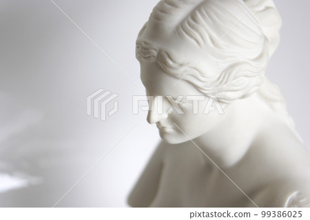 從特寫傾斜俯視圖看到的米洛維納斯的石膏半身像 從特寫傾斜俯視圖看到的米洛維納斯的石膏半身像 99386025