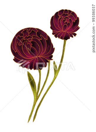 Isolated bright burgundy floral design elements. Two Peony flowers with green leaves with gold contour on white background. Isolated bright burgundy floral design elements. Two Peony flowers with green leaves with gold contour on white background. 99386037
