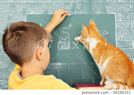 Cat school 99386355