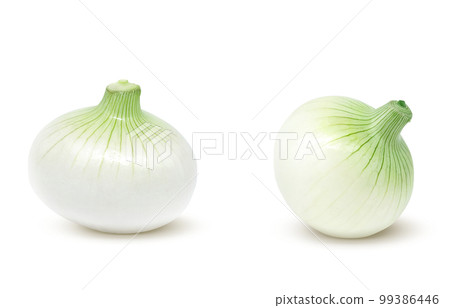 新洋蔥 新洋蔥插畫實景圖 99386446