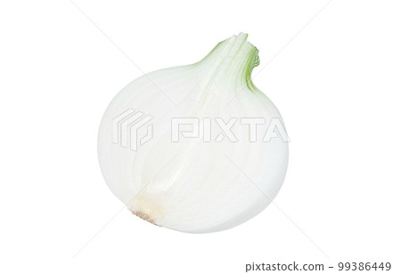 新洋蔥 新洋蔥插畫實景圖 99386449