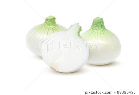 新洋蔥插圖真實 新洋蔥插圖真實 99386455