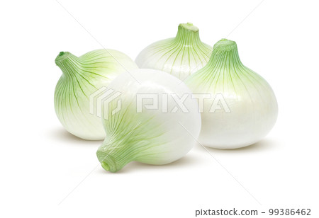 New onion New onion illustration real set 99386462