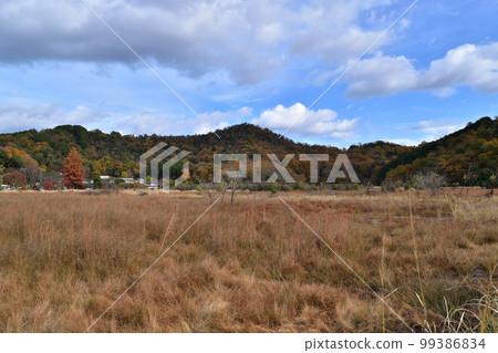 Deep mud pond in autumn, Kyoto Deep mud pond in autumn, Kyoto 99386834