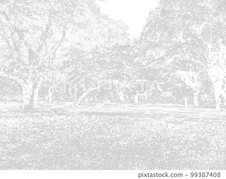 trees in the park. Illustrated photo. monochrome. 99387408