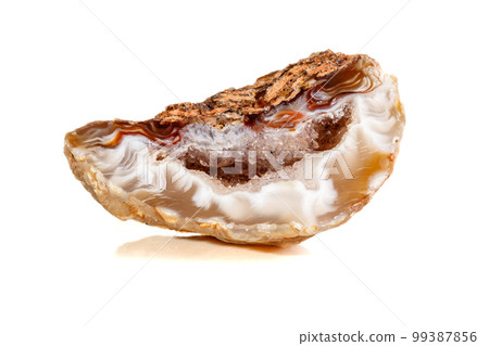 Macro mineral stone agate kidney gerbera 99387856