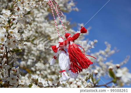 Bulgarian traditional spring decor martenitsa on the blossom tree. Baba Marta holiday. 99388261