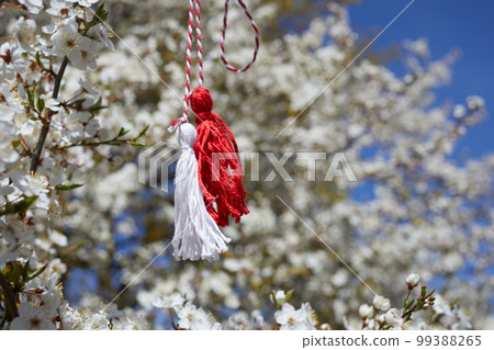 Bulgarian traditional spring decor martenitsa on the blossom tree. Baba Marta holiday. 99388265