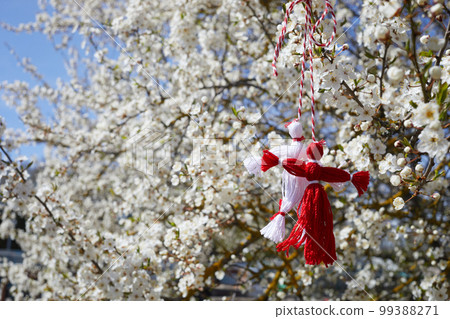 Bulgarian traditional spring decor martenitsa on the blossom tree. Baba Marta holiday. 99388271