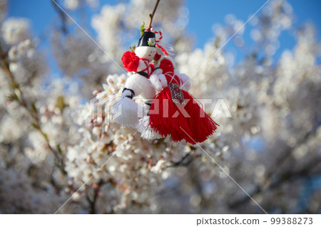 Bulgarian traditional spring decor martenitsa on the blossom tree. Baba Marta holiday. 99388273