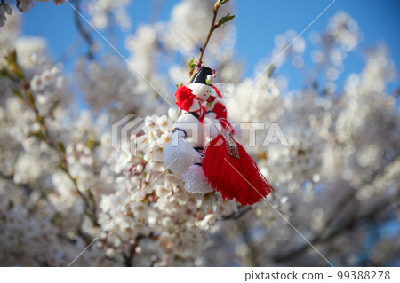 Bulgarian traditional spring decor martenitsa on the blossom tree. Baba Marta holiday. 99388278