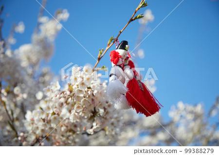 Bulgarian traditional spring decor martenitsa on the blossom tree. Baba Marta holiday. 99388279
