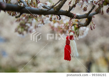 Bulgarian traditional spring decor martenitsa on the blossom tree. Baba Marta holiday. 99388281
