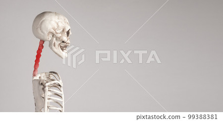 Banner with human skeleton cervical vertebrae with red spot. Neck pain. Profile view. Inflammation, injury, poor posture, overuse consequences. Place for text 99388381