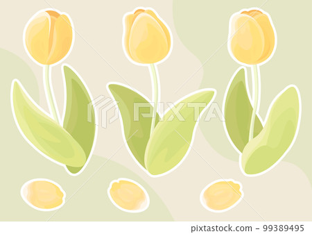 黃色鬱金香和花瓣白色邊框 黃色鬱金香和花瓣白色邊框 99389495