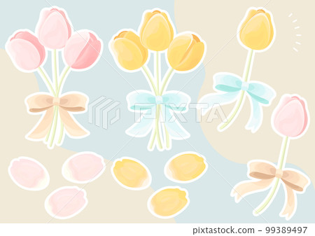 Tulip tied with a ribbon, white border, pink and yellow 99389497