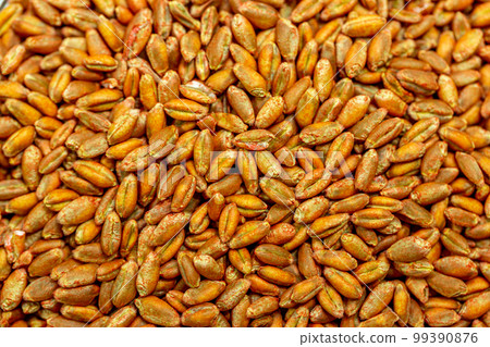 Wheat seeds, cereal seeds with red seed dressing or seed treatment Wheat seeds, cereal seeds with red seed dressing or seed treatment 99390876
