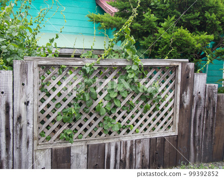 handmade wooden fence 99392852