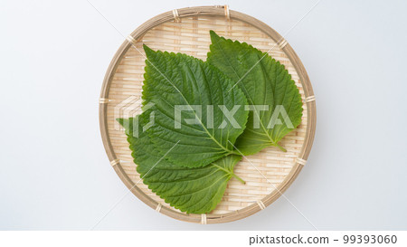 芝麻葉 芝麻葉 99393060