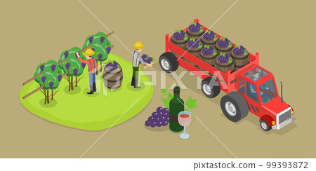3D Isometric Flat Vector Conceptual Illustration of Grape Farm 3D Isometric Flat Vector Conceptual Illustration of Grape Farm 99393872