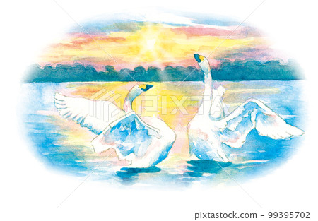 watercolor painting: swan 99395702