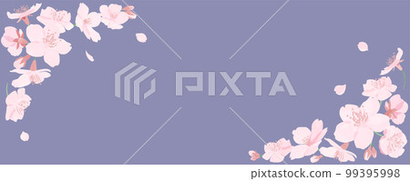 Frame of watercolor-style cherry blossoms and petals purple background Frame of watercolor-style cherry blossoms and petals purple background 99395998
