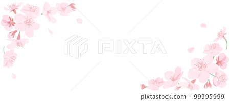 Frame of watercolor-style cherry blossoms and petals White background 99395999