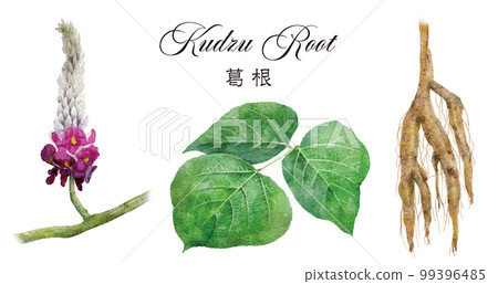 葛藤的手繪水彩插圖插圖零件組 99396485