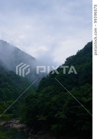 Asagiri, mountain weather, fog, Kii Peninsula, mountain fog, natural phenomenon Asagiri, mountain weather, fog, Kii Peninsula, mountain fog, natural phenomenon 99396878