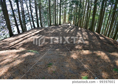 播磨 Komayama 城堡的圍牆和石牆,俯瞰 Kamigori 市 播磨 Komayama 城堡的圍牆和石牆,俯瞰 Kamigori 市 99397601