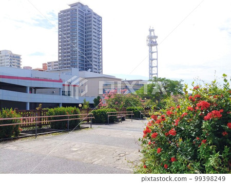 Okinawa Shintoshin Park 15 Okinawa Shintoshin Park 15 99398249