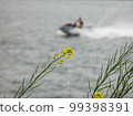 A water bike that runs behind the rapeseed flowers that grow along the river 99398391