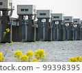 Tone Great Weir behind the rape blossoms 99398395