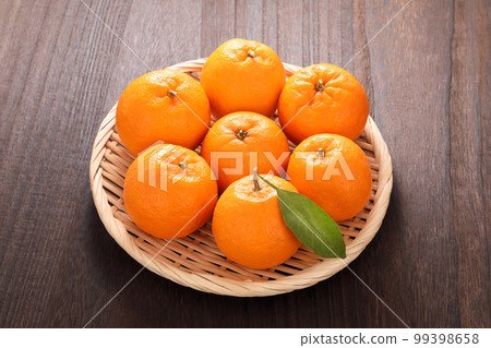 Ponkan Ponkan 99398658
